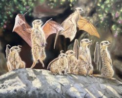 Meerbats Seven meerbats outside their home